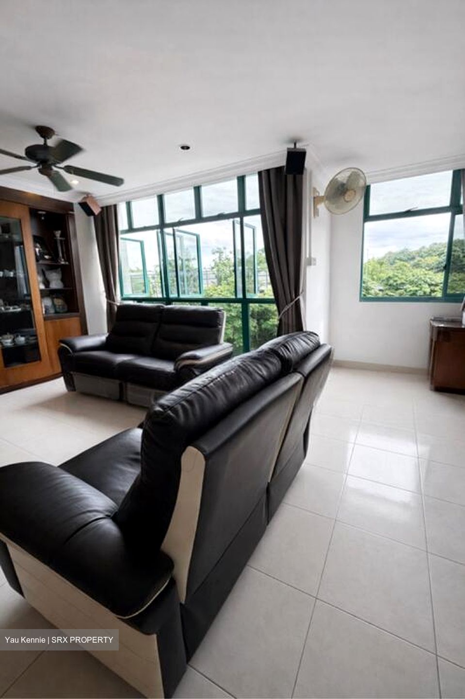 Blk 478 Segar Gardens (Bukit Panjang), HDB Executive #515621061
